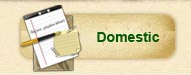 Domestic Services
